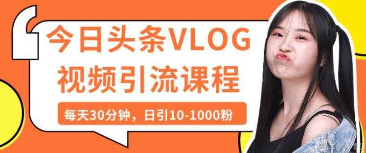 今日头条VLOG视频引流技术，每天30分钟，日引10-1000粉-好资源库