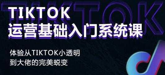 《Tiktok运营基础入门系统课》从tiktok小白到大佬的完美蜕变-好资源库