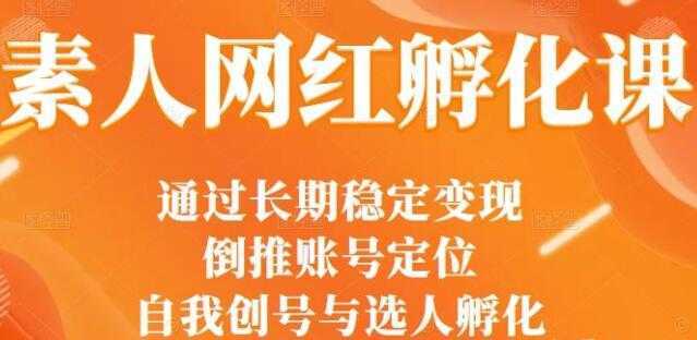 马大个《素人网红孵化课》通过长期稳定变现，自我创号与选人孵化-好资源库