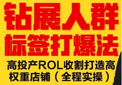 逐鹿《淘宝钻展人群标签打爆法》高投产ROL收割打造高权重店铺(全程实操)-好资源库