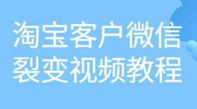 《淘宝客户微信裂变》培训课程视频教程-好资源库