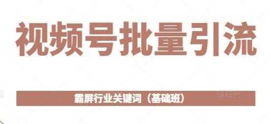 《视频号批量引流》霸屏行业关键词玩法（基础班）-好资源库