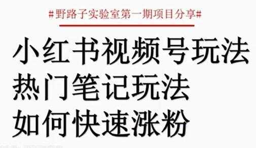 小红书视频号项目，直接上手操作，月入过万-好资源库