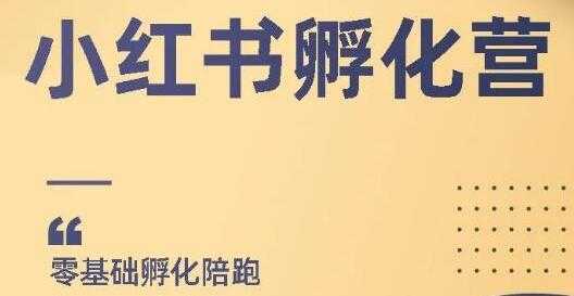 小红书撸金项目，教你如何快速起号获得曝光，做到月躺赚在3000+-好资源库