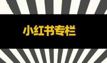 品牌医生《小红书全链营销干货》5个起盘案例，营销策略规划，避坑指南-好资源库