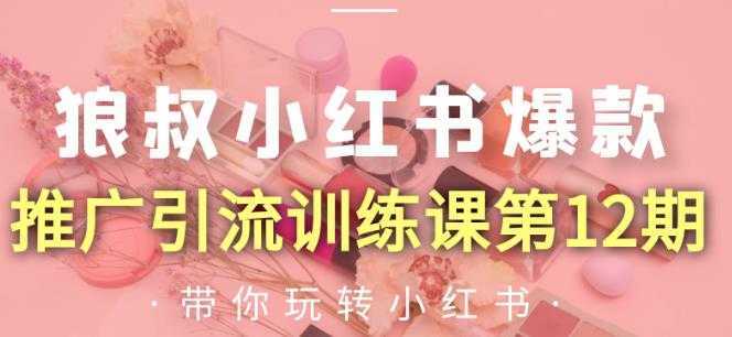 图片[1]-狼叔小红书爆款推广引流训练课第12期，手把手带你玩转小红书-好资源库