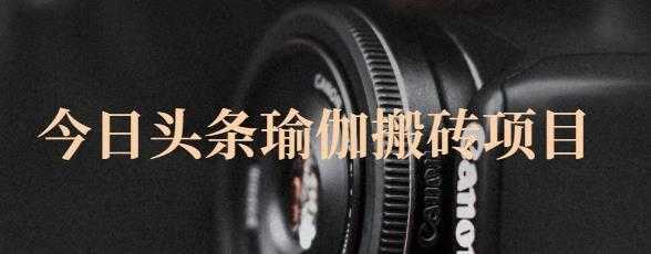 猎人社区·今日头条瑜伽搬砖项目，单号一天几十收入，可以批量操作！-好资源库