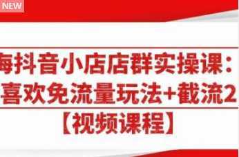 大海抖音小店店群实操课：猜你喜欢免流量玩法+截流 2.0-好资源库
