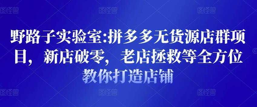 野路子实验室:拼多多无货源店群项目，新店破零，老店拯救等全方位教你打造店铺-好资源库