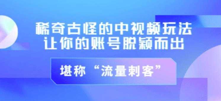 不讲李·稀奇古怪的冷门中视频冷门玩法，让你的账号脱颖而出，成为流量刺客！（图文+视频）-好资源库