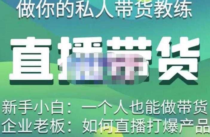 图片[1]-硬核传媒·直播带货（私人教练），实操实战教学，通俗易懂，学完后新手小白一个人也能做带货-好资源库