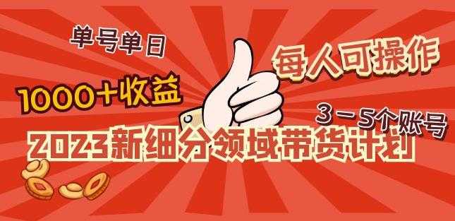 图片[1]-2023新细分领域带货计划：单号单日1000+收益不难，每人可操作3-5个账号-好资源库