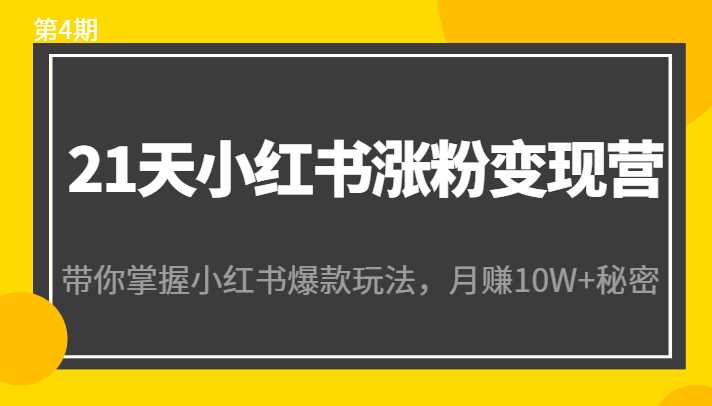 21天小红书涨粉变现营（第4期）：带你掌握小红书爆款玩法，月赚10W+秘密-好资源库
