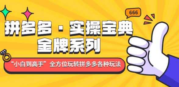 图片[1]-拼多多·实操宝典：金牌系列“小白到高手”带你全方位玩转拼多多各种玩法-好资源库