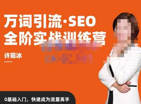 许茹冰·万词引流-SEO全阶实战训练营，0基础入门，快速成为流量高手-好资源库