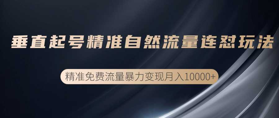 垂直起号精准自然流量连爆玩法，精准引流暴力变现月入10000+-好资源库