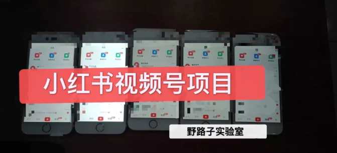 野路子小红书视频号1.0项目，直接上手操作就能赚钱的视频号项目-好资源库