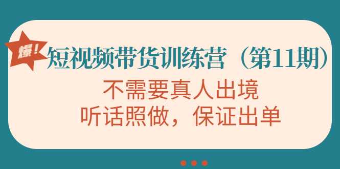 图片[1]-视频带货训练营，不需要真人出境，听话照做，保证出单（第11期）-好资源库